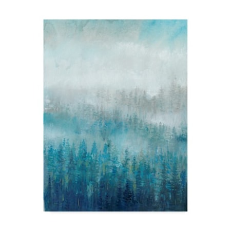 Tim Otoole 'Above The Mist I' Canvas Art,24x32